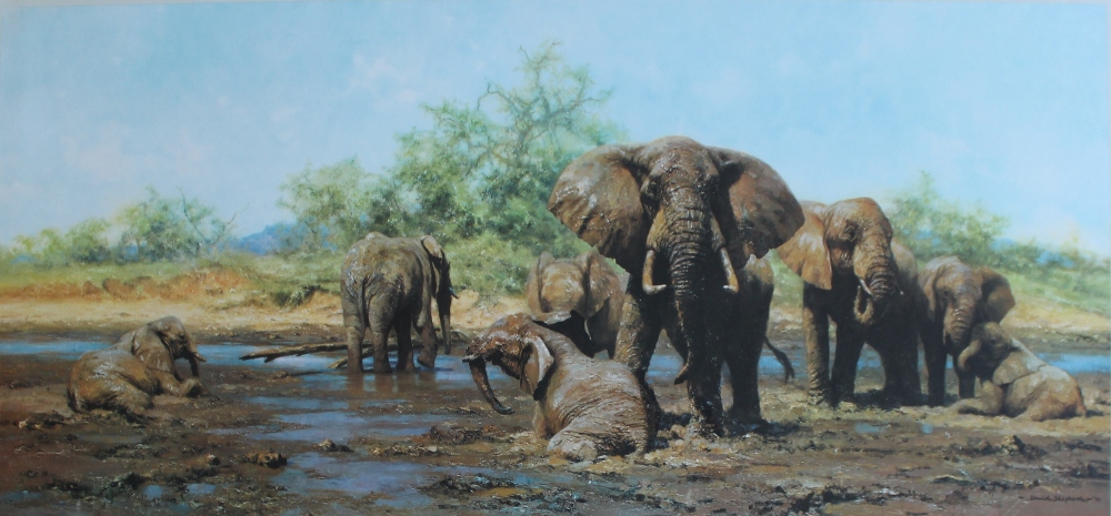 David Shepherd
Elephant Heaven
A limited edition print No.381/850
Signed in pencil to the margin
44.