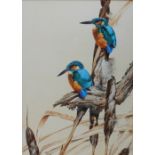 David Ord Kerr
Kingfishers on bullrushes
Watercolour
Signed
41 x 29.