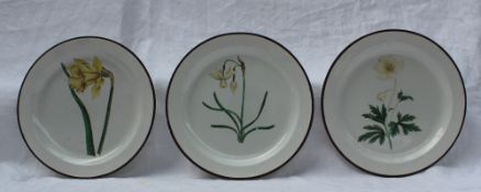 Three Swansea creamware botanical plates, painted with a "Great Daffodil",