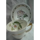 A large 19th century Rockingham porcelain tea cup and saucer, painted with a single floral specimen,