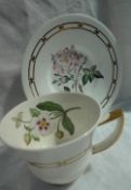 A large 19th century Rockingham porcelain tea cup and saucer, painted with a single floral specimen,