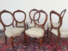 A set of six Victorian walnut balloon back dining chairs with a carved cresting rail, pad seat,