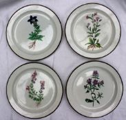 Four Swansea creamware botanical plates, painted with a "Large Flower'd Gentian",