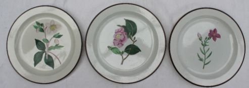 Three Swansea creamware botanical plates, painted with a "Shuibby Chironia",