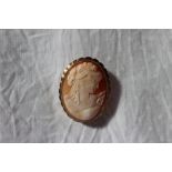 A shell cameo brooch in the form of a maiden in profile to a yellow metal mount and clasp,