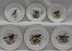 A set of six Royal Worcester plates, each painted with a single bird,