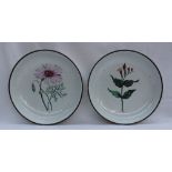 A pair of Swansea pottery bowls, painted with a "Large Flower'd Monsonia" and a "Worm Grass",