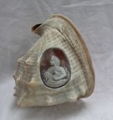 A 19th century cameo carved conch shell depicting the head and shoulders portrait of a maiden