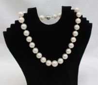A South Sea pearl necklet, the pearls graduating in size from 6.5mm to 3.