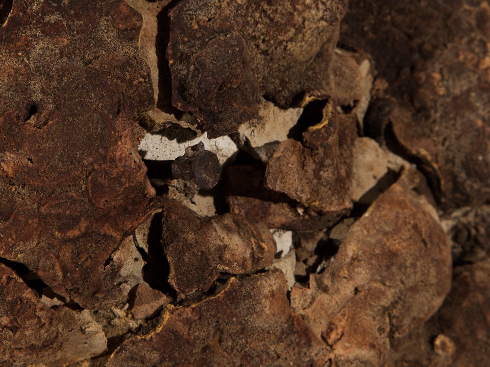 Diether Roth (1930-1998), Kleine Insel, Object, 1968Plaster, kitchen waste, nails, paper, acrylic - Image 3 of 7