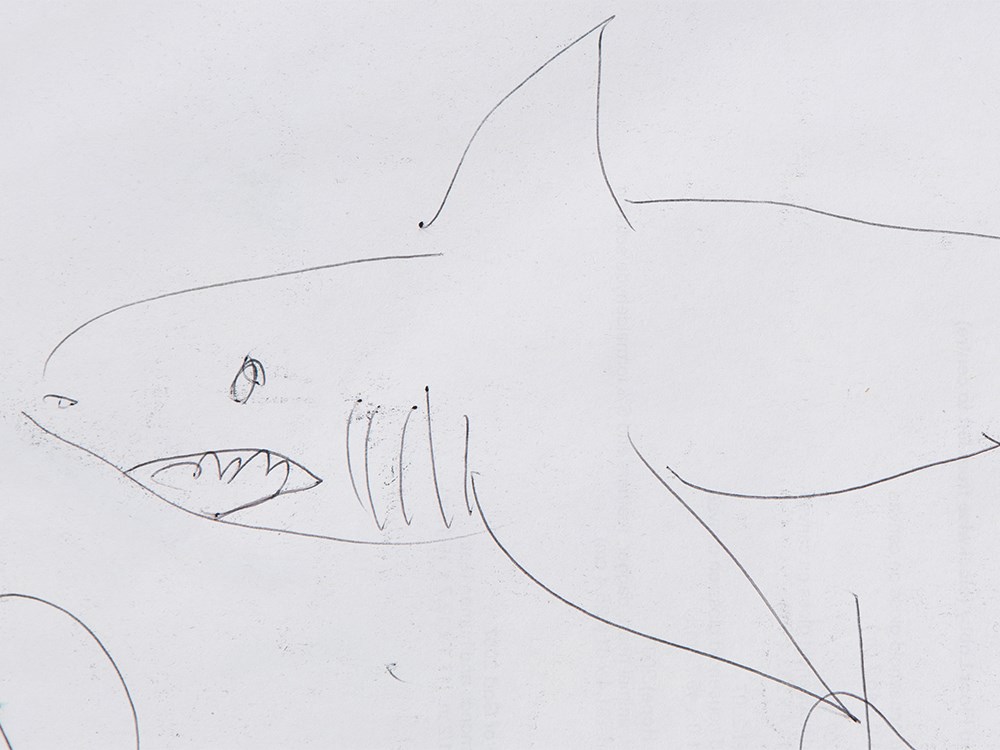 Damien Hirst (b. 1965), Shark, Ballpen Drawing, 2007Black ballpen on paperEngland, 2007Damien - Image 4 of 7