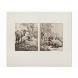 Johann Heinrich Roos (1631-1685), 2 Etchings Sheep & Donkey 2 etchings on paperGermany, circa