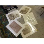 Five prints mostly horses as new sealed.