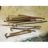 Fifteen walking sticks various styles, brass horn and carved handles.