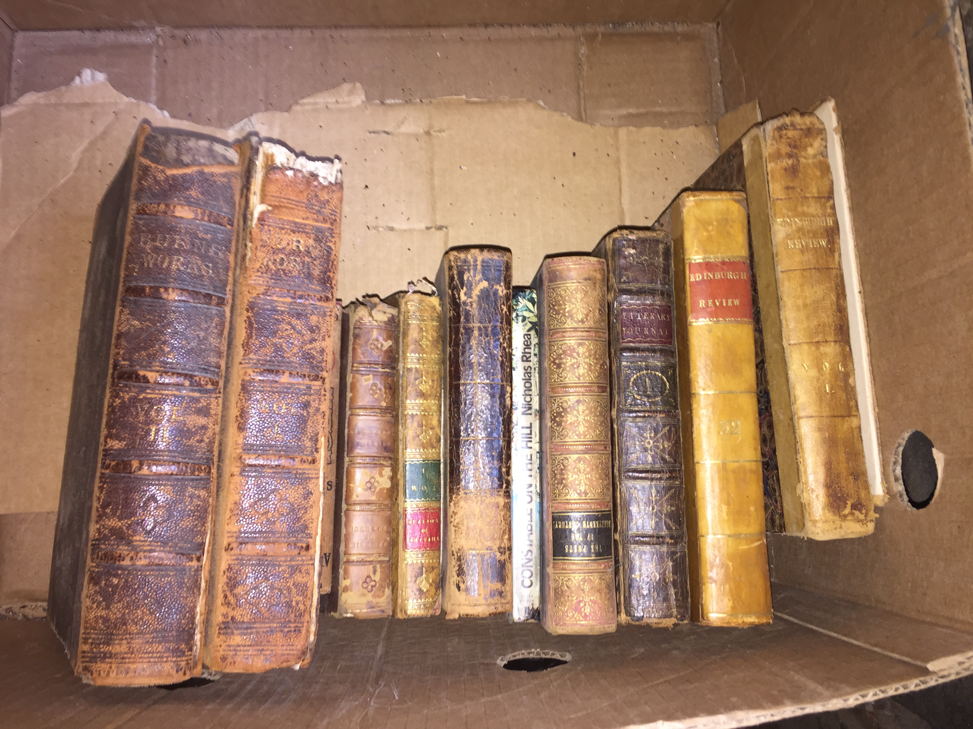 A selection of books including Burns works.