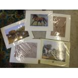 Five prints mostly horses as new sealed.