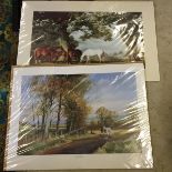 Two prints mostly horses as new sealed.