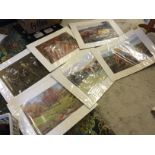 Six prints mostly horses as new sealed.