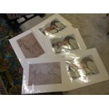 Five prints mostly horses as new sealed.