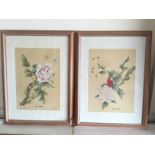 Two Japanese paintings on silk in limed
