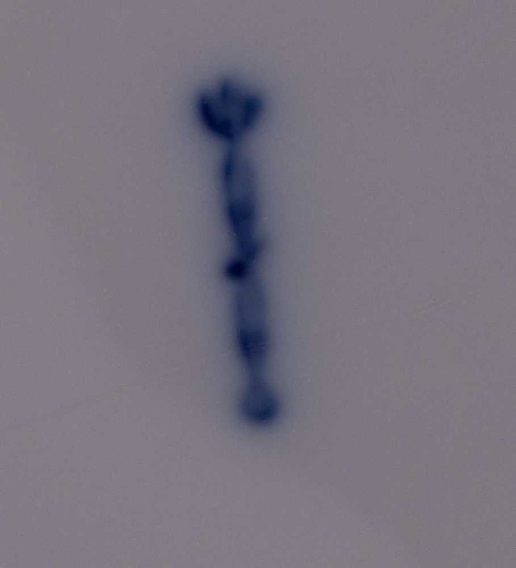 Sektkühler KPM / Sparkling wine cooler, KPM blaue Zeptermarke, H: 17 cm, Ø 20,5 cm / blue sceptre - Bild 4 aus 4