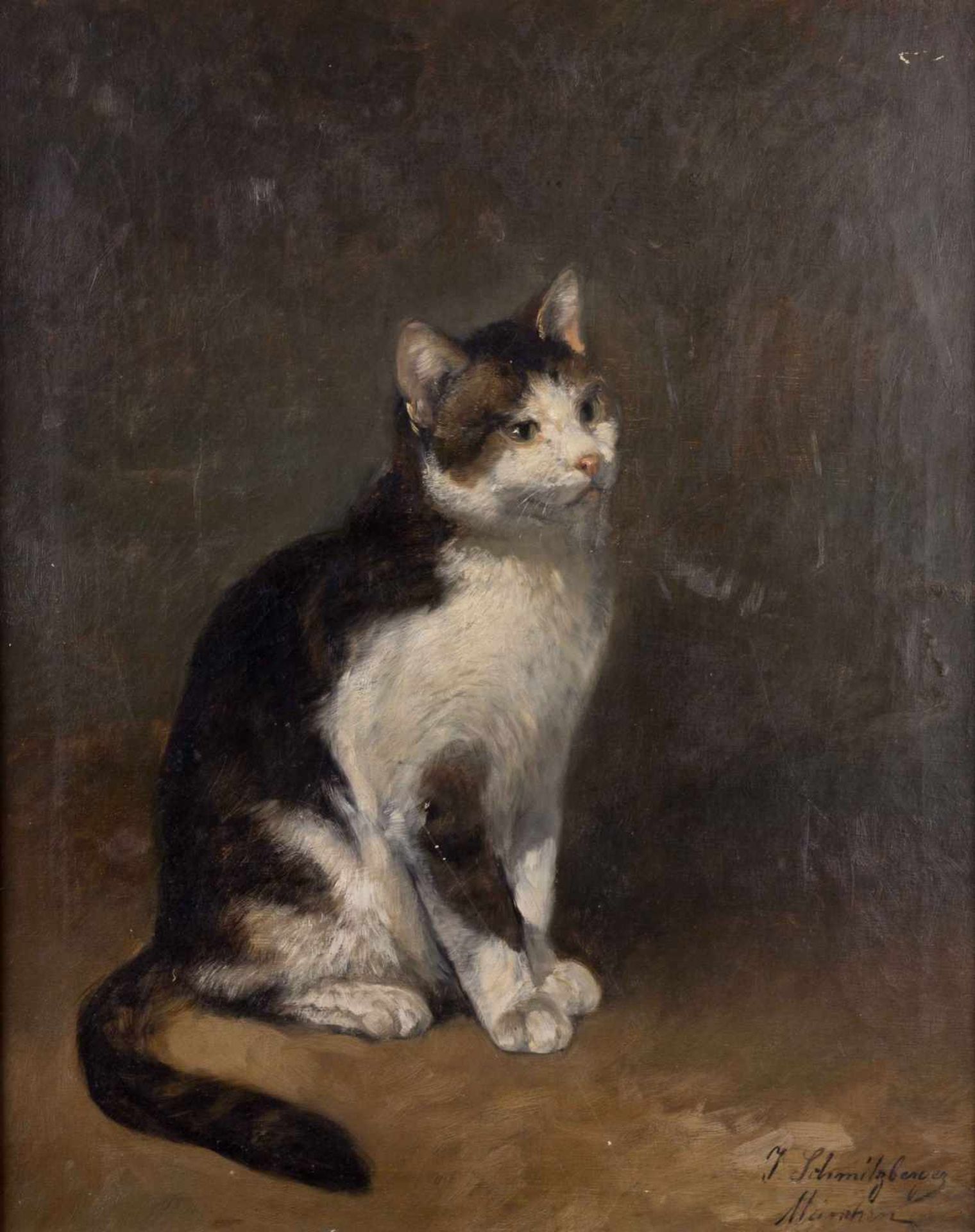 Josef SCHMITZBERGER (1851-c.1936) "Katzenportrait" Gemälde Öl/Leinwand, 65 cm x 53 cm, rechts