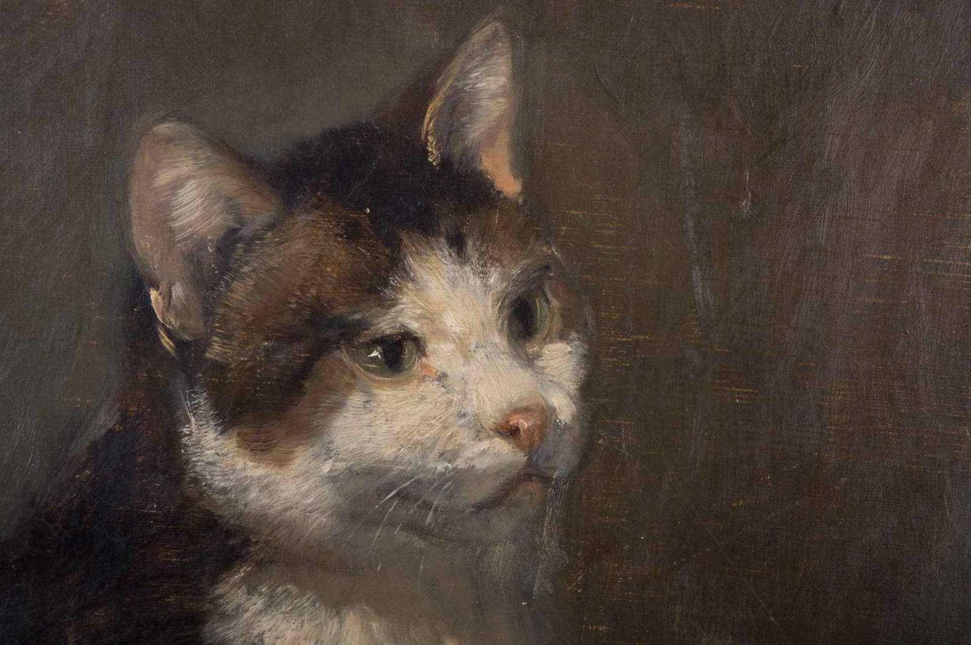 Josef SCHMITZBERGER (1851-c.1936) "Katzenportrait" Gemälde Öl/Leinwand, 65 cm x 53 cm, rechts - Bild 3 aus 5