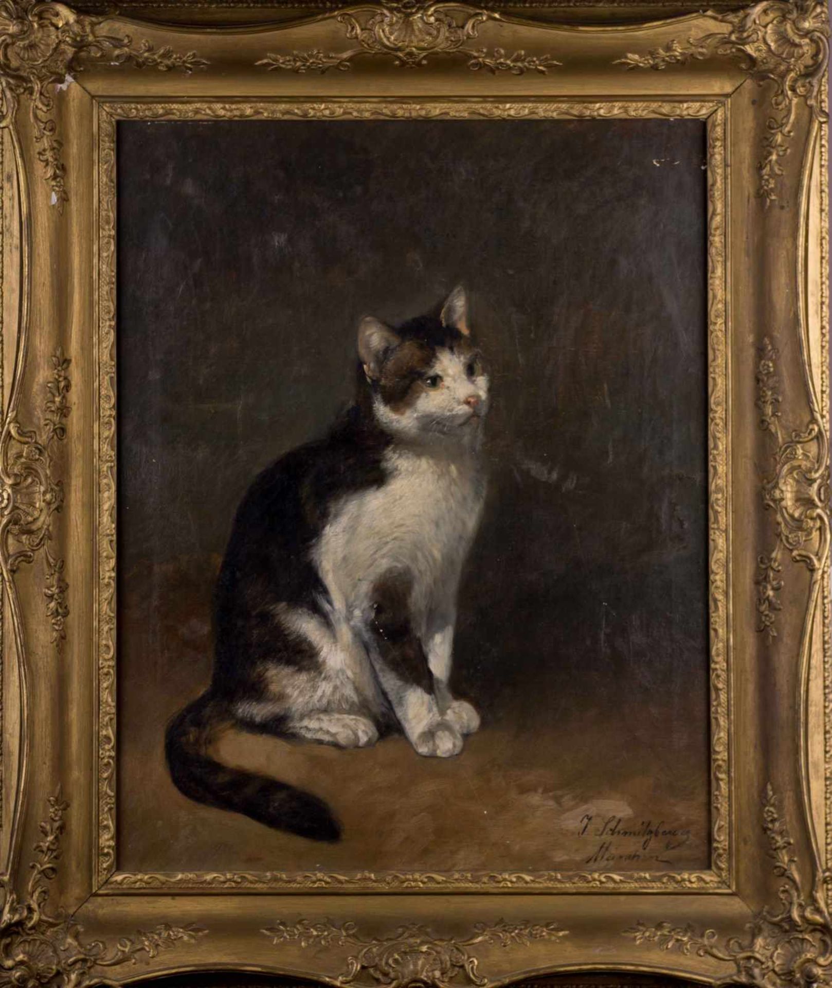 Josef SCHMITZBERGER (1851-c.1936) "Katzenportrait" Gemälde Öl/Leinwand, 65 cm x 53 cm, rechts - Bild 2 aus 5