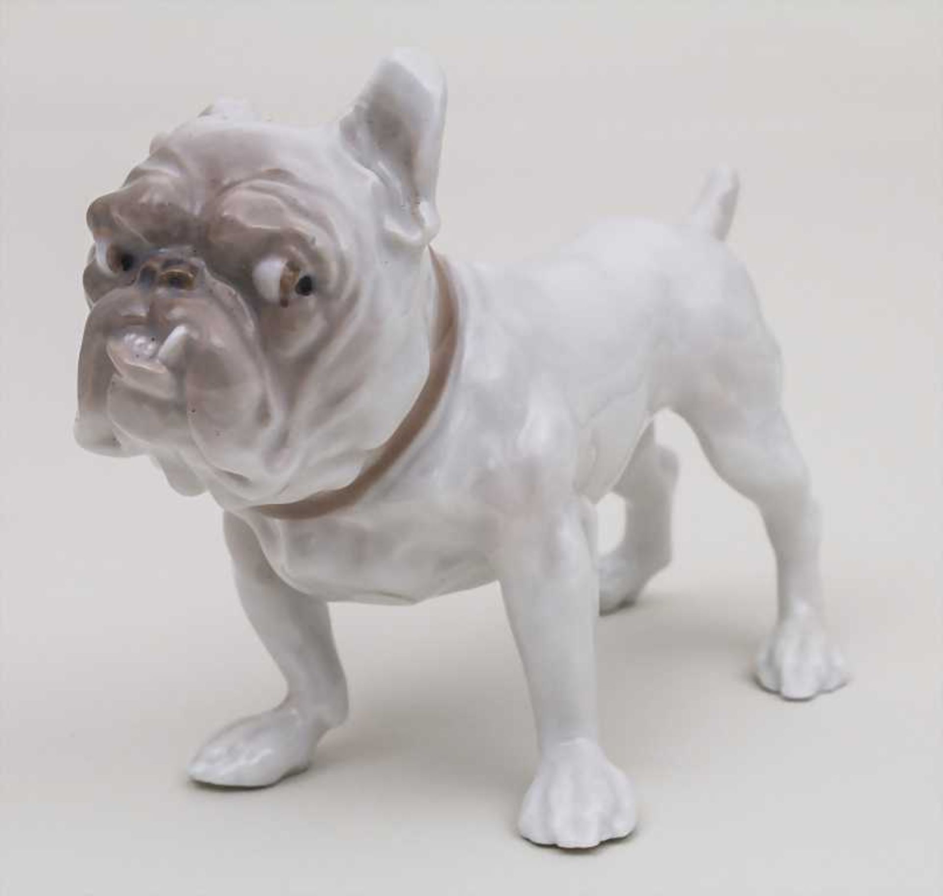 Bulldogge, Bing & Groendahl, Kopenhagen, um 1920 Material: Porzellan, glasiert u. dezent bemalt,