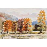 Moog, Werner: "Volkmarsen - Herbsttag im Erpetal". Aquarell, rechts unten signiert/datiert: (19)