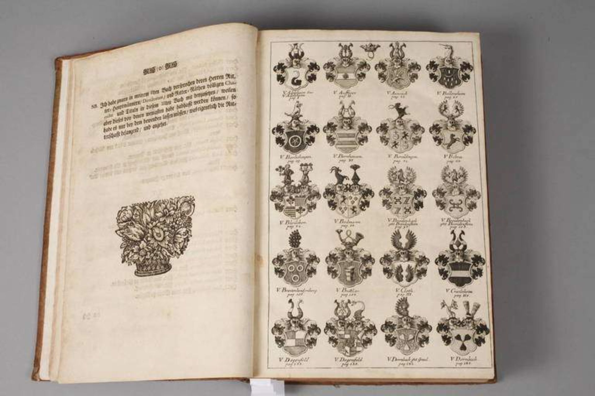 Hattsteins Verzeichnis des Reichsadels 1729-40 Die Hoheit des teutschen Reichs-Adels, wordurch - Bild 5 aus 7
