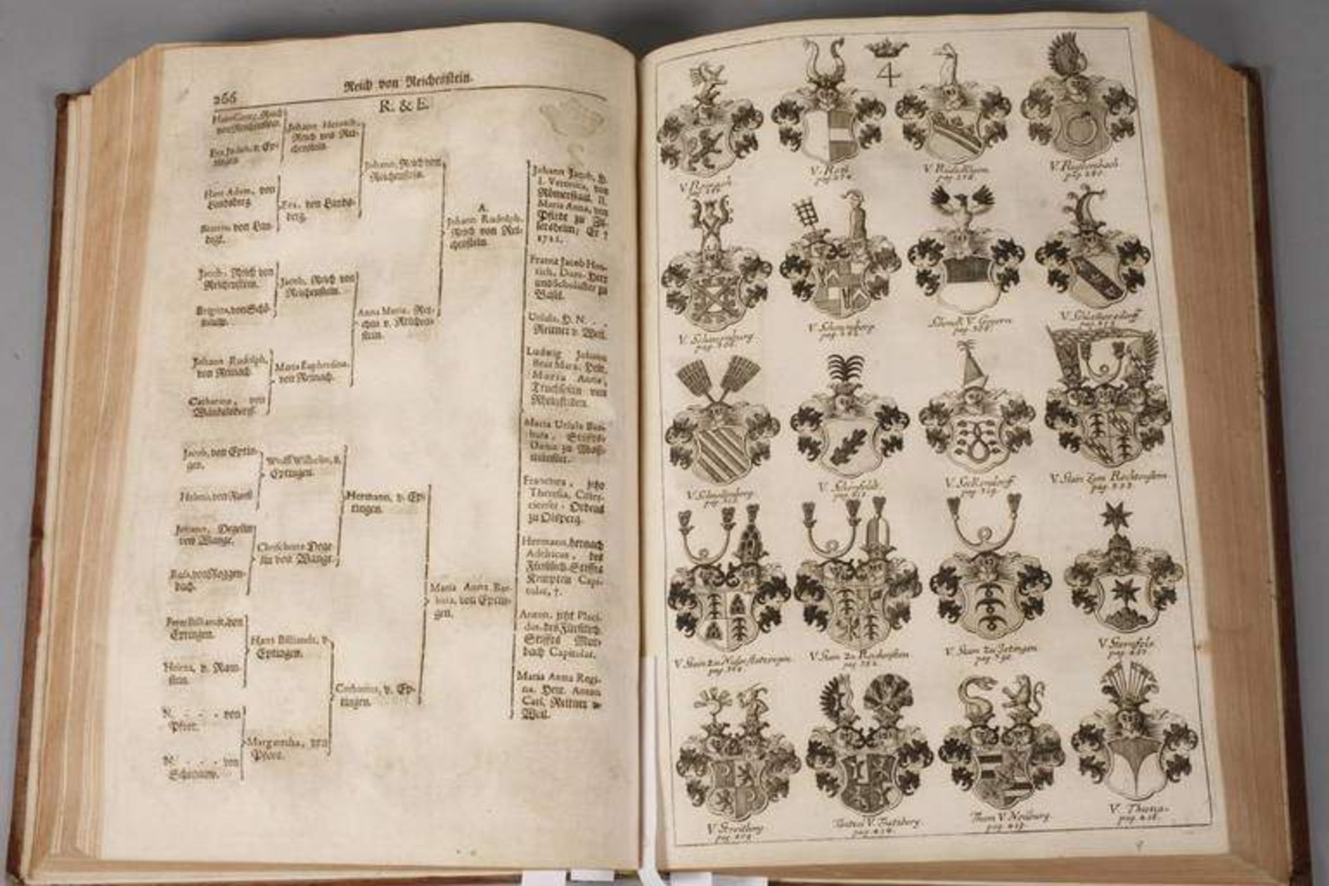 Hattsteins Verzeichnis des Reichsadels 1729-40 Die Hoheit des teutschen Reichs-Adels, wordurch - Bild 7 aus 7