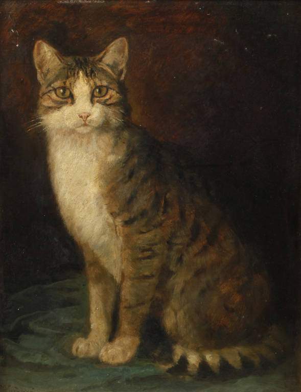 Wilhelm Gräbhein, Katzenportrait Bildnis einer grau getigerten Katze vor dunklem Grund, gekonnt