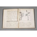 Botanische Abschrift des Freimund Edlich, um 1840/50, feine kalligrafische Abschrift in Tusche mit