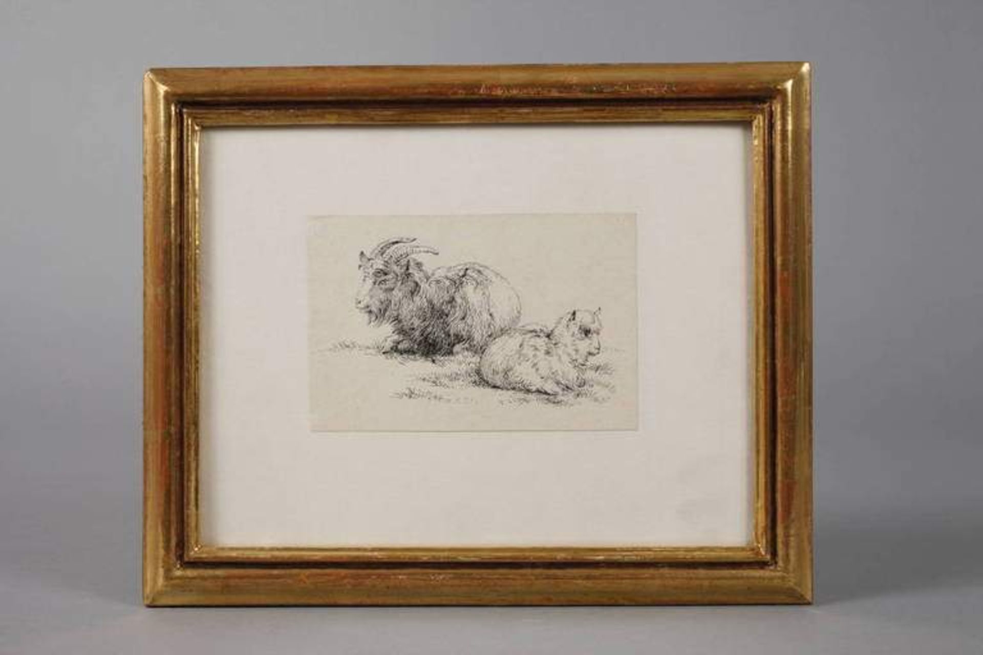 Johann Fischbach, attr., Tierstudie liegender Ziegenbock mit Zicklein, mit spitzer Feder - Bild 2 aus 3