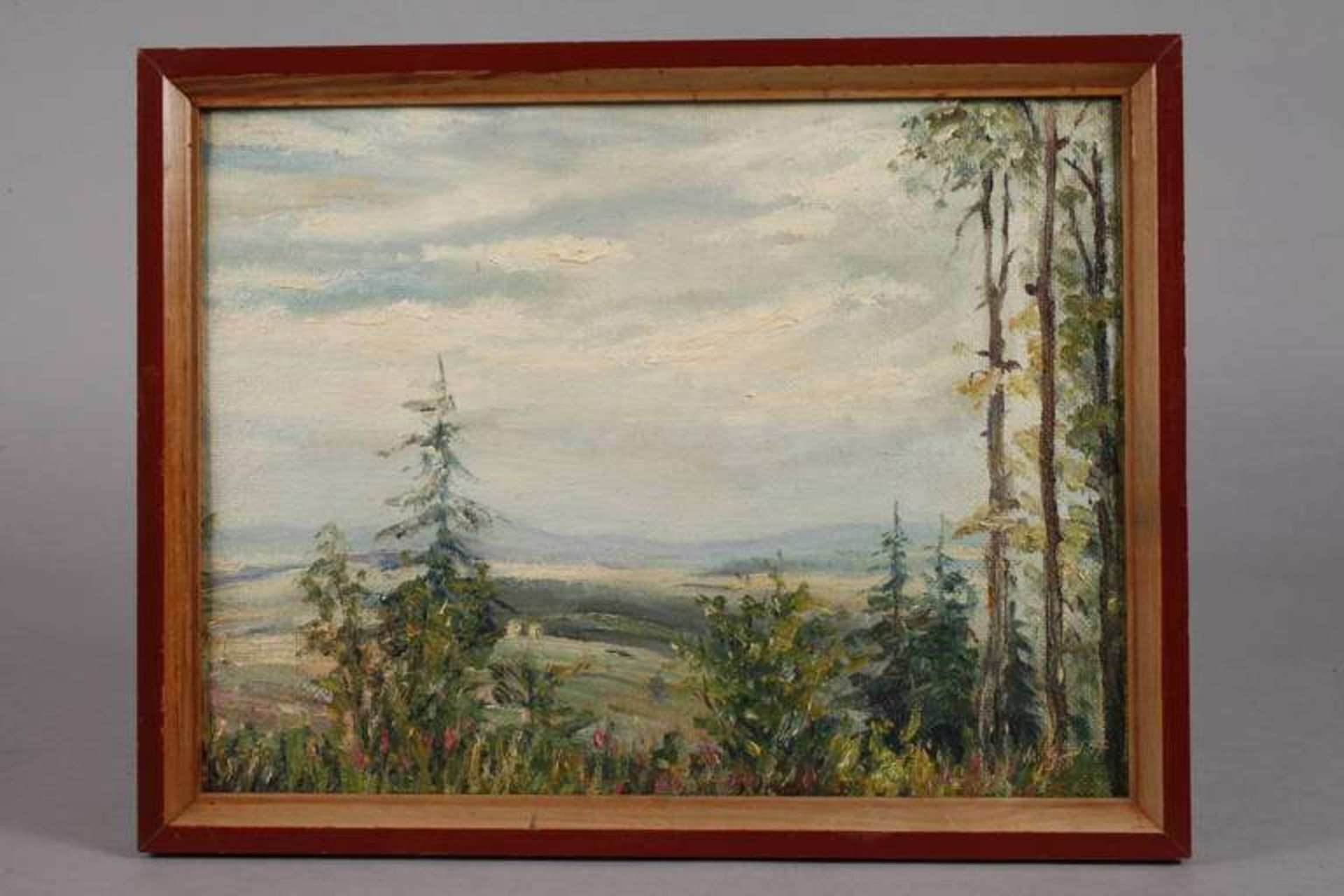 Martin Grünert, Oberfränkische Sommerlandschaft flott erfasste Landschaft mit Bäumen im - Bild 2 aus 3