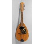 Mandoline um 1950, innen mit Klebeetikett Perfectus Musikinstrumente Markneukirchen, fächerartig