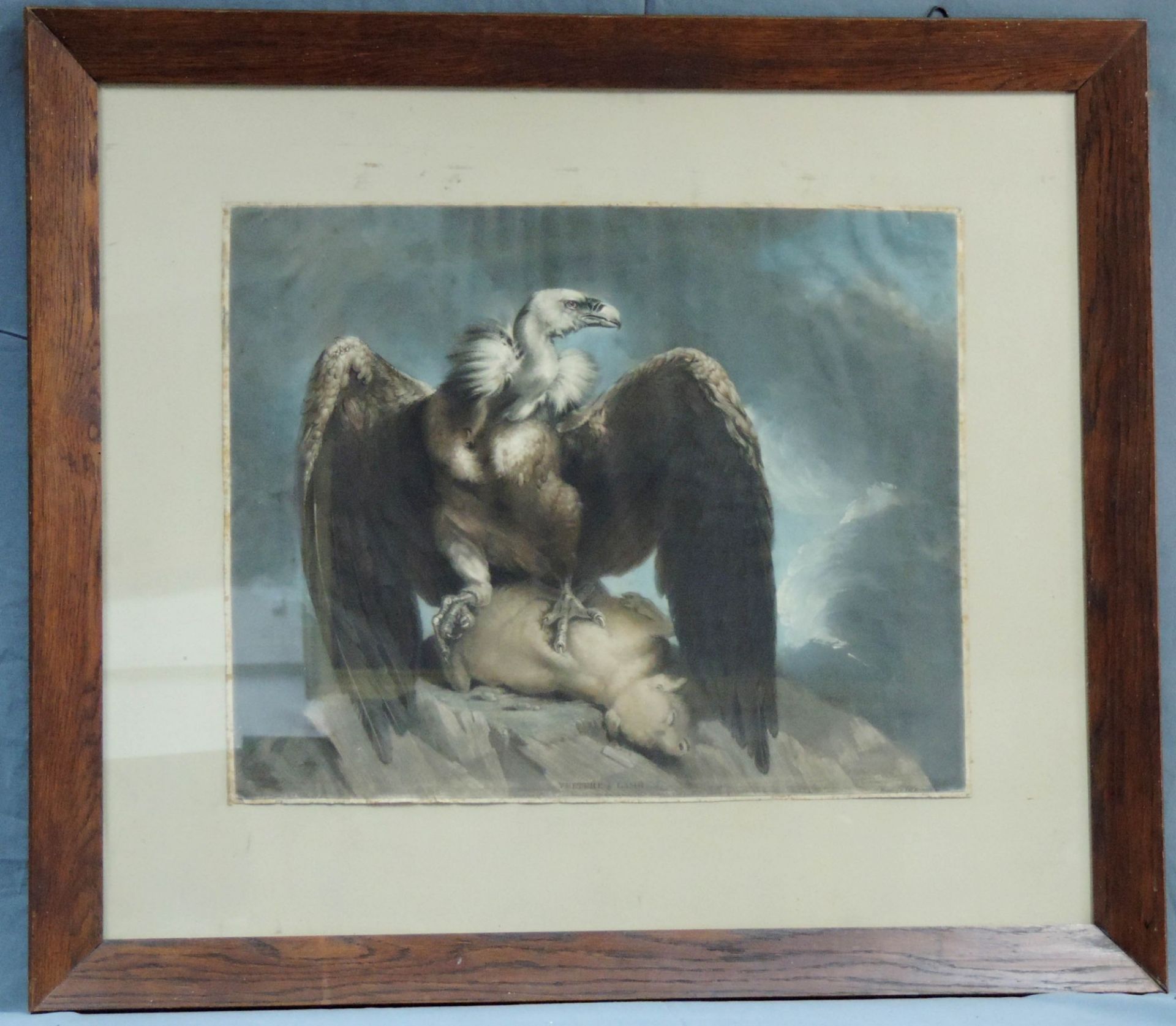 James NORTHCOTE (1746 - 1831). Vulture & Lamb.48 cm x 61 cm das Blatt. Bezeichnet: "Painted by J. - Bild 2 aus 8