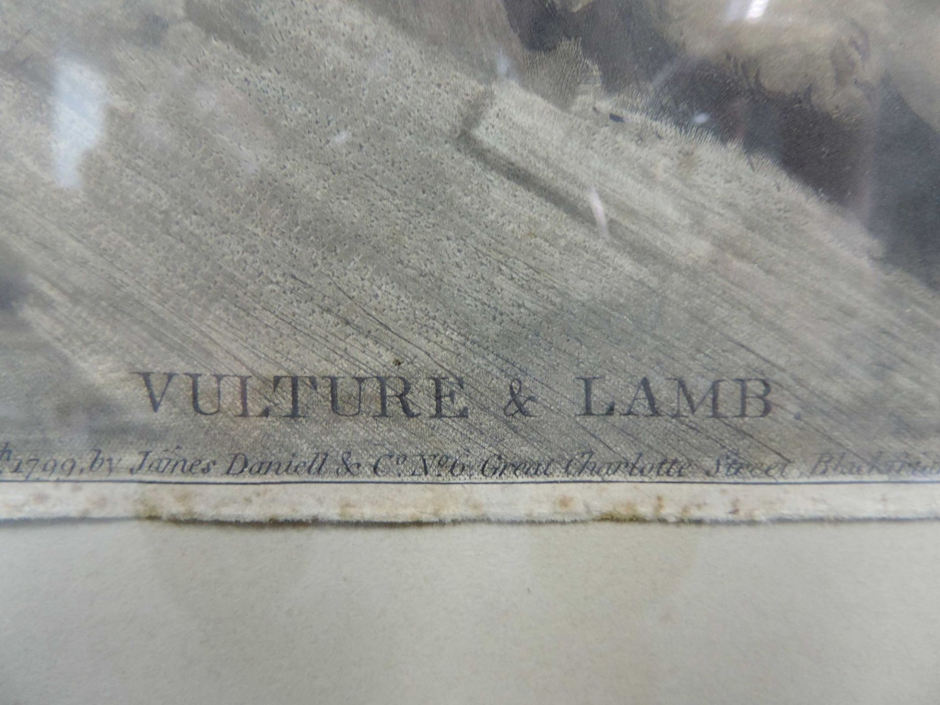James NORTHCOTE (1746 - 1831). Vulture & Lamb.48 cm x 61 cm das Blatt. Bezeichnet: "Painted by J. - Bild 5 aus 8