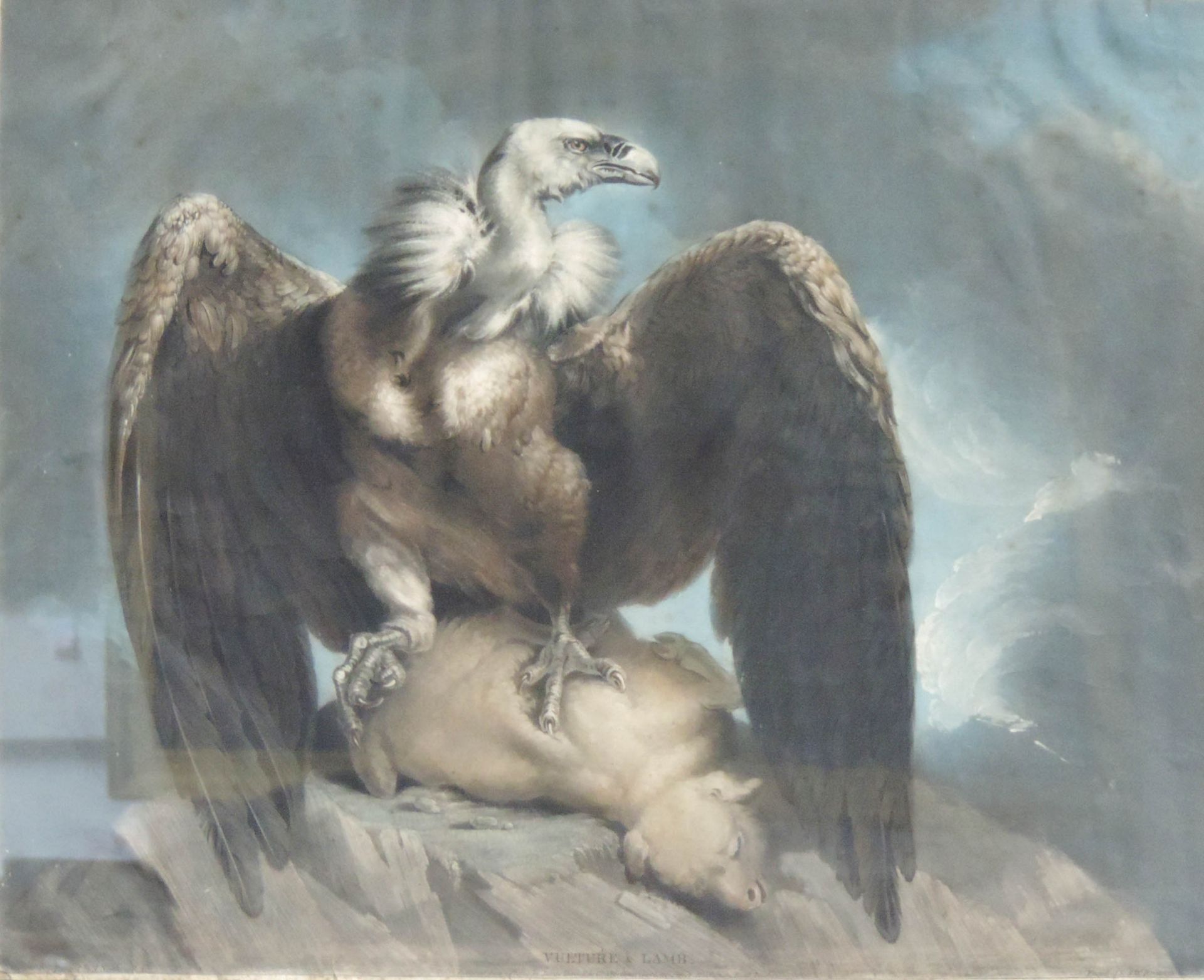 James NORTHCOTE (1746 - 1831). Vulture & Lamb.48 cm x 61 cm das Blatt. Bezeichnet: "Painted by J.