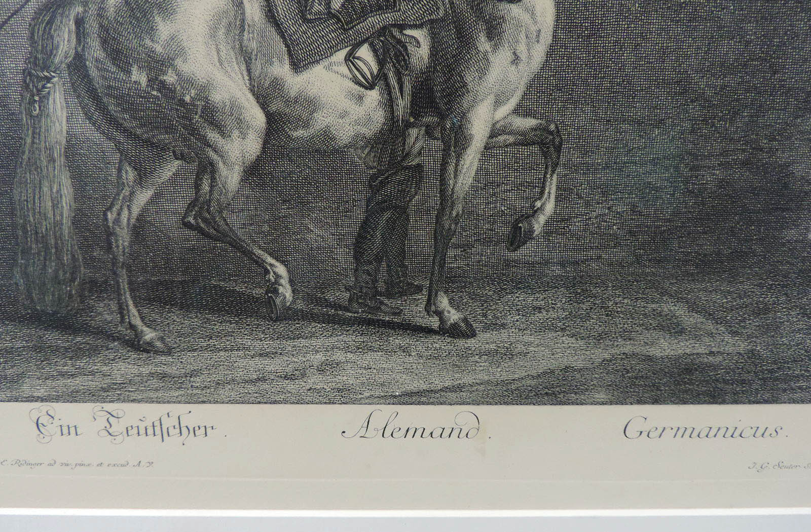 Johann Elias RIDINGER (1698 - 1767). 3 Tier - Jagdbilder.Bis 55,5 cm x 41 cm. "Ein Deutscher", " - Bild 4 aus 11