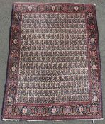 Senneh Dorfteppich. Iran, alt, um 1930.185 cm x 134 cm. Handgeknüpft. Wolle auf Baumwolle.Senneh