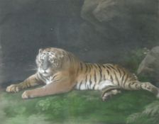 W. Stubbs (XVIII). A Tigeress.48 cm x 61 cm das Blatt. "Engraved by John. Murphy. Pamifsion of W.