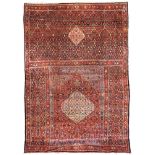 Bidjar Triculum Teppich. Iran. Antik, um 1890. 614 cm x 405 cm. Handgeknüpft in Persien. Wolle auf
