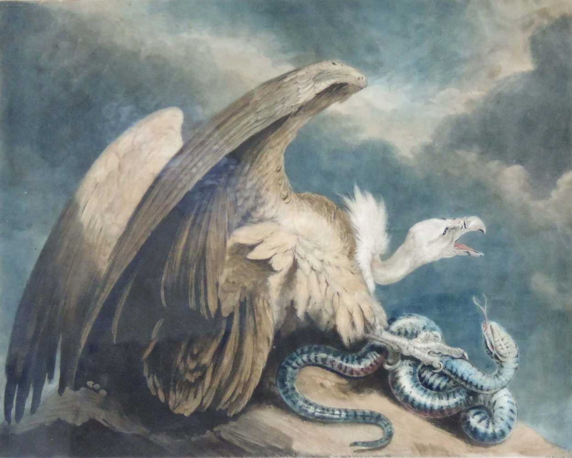 James NORTHCOTE (1746 - 1831). Vulture & Snake. 48 cm x 40 cm das Blatt. Bezeichnet: "J. Northcote