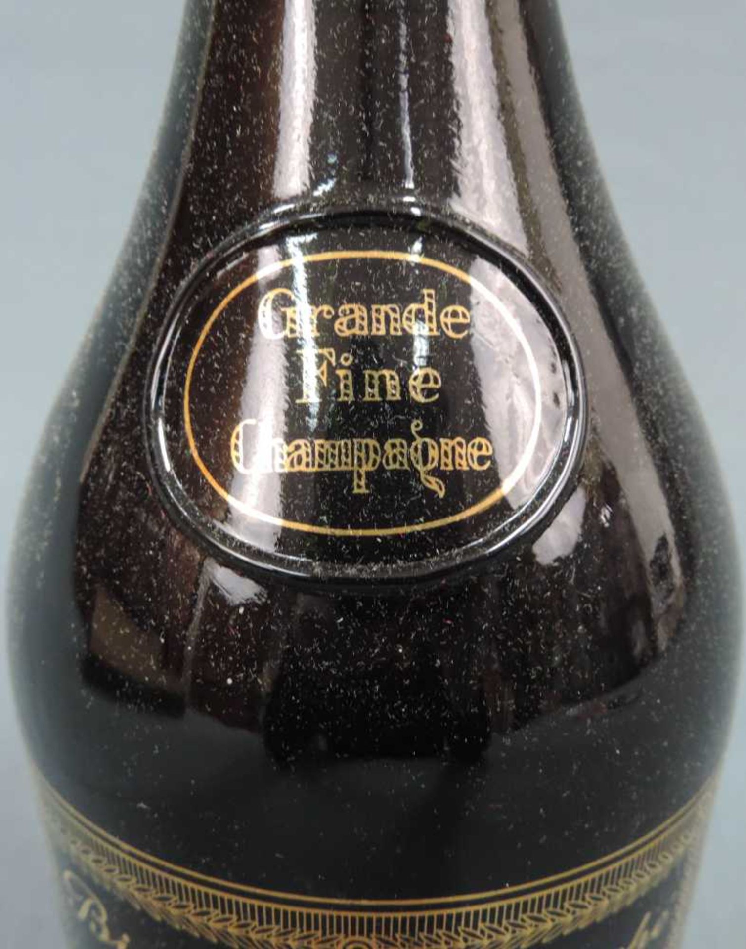Grande Fine Champagne, Bisquit Dubouche Cognac Grande Fine Champagne, Extra Vieille. 40%, 70cl. - Image 8 of 10