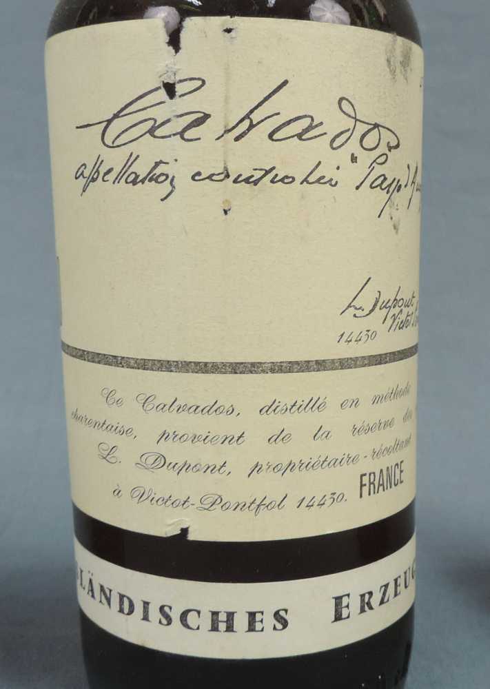 6 ganze Flaschen alter Calvados. Unterschiedliche Volumenprozent und Domaines. 6 whole bottels of - Image 3 of 20