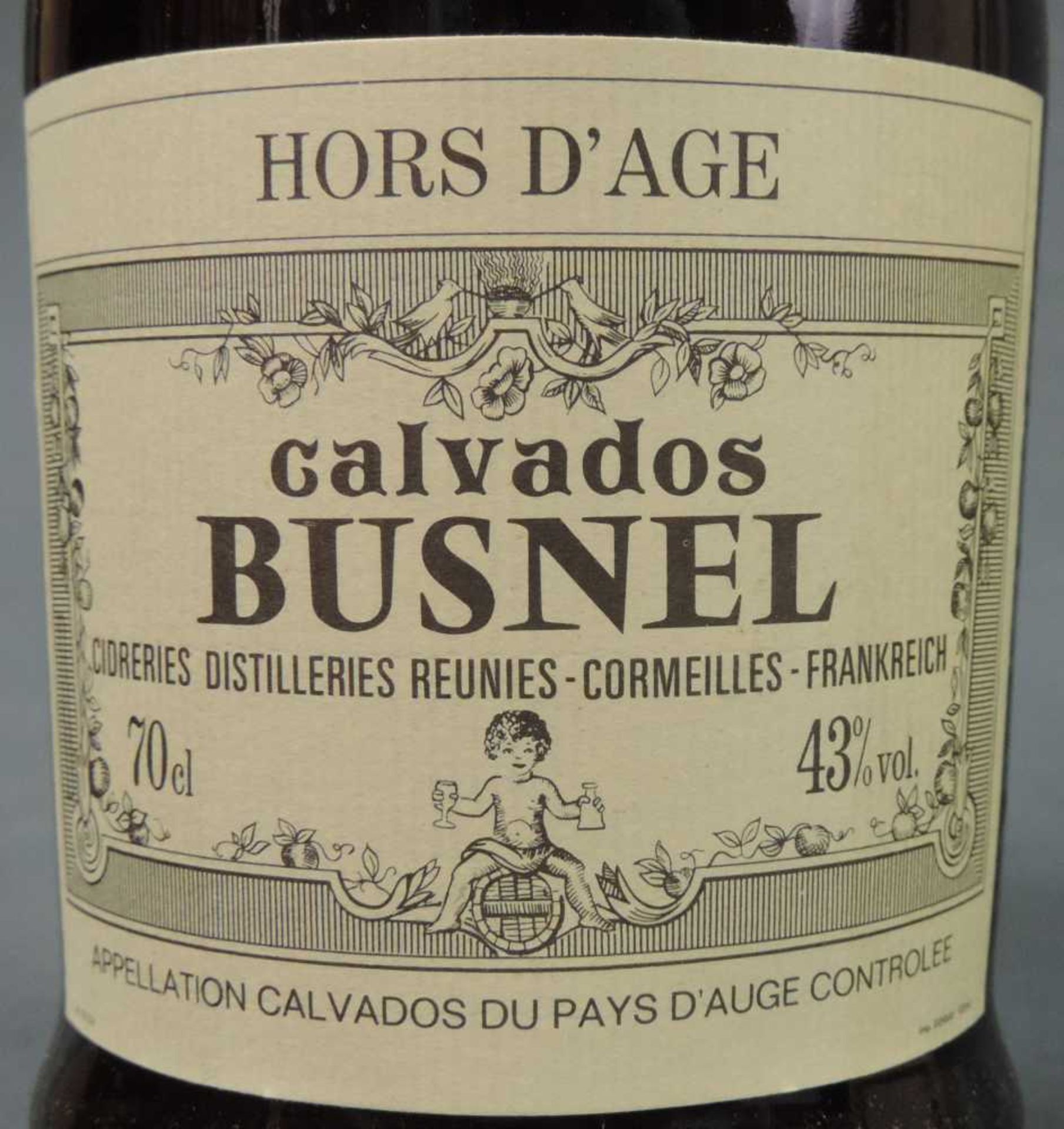 8 ganze Flaschen Vieux Calvados. Unterschiedliche Volumenprozent und Domaines. Auch alte Brände. 8 - Image 5 of 17