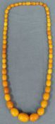 Bernsteinkette. Größte Perle: 2,3 cm. Länge 65 cm. 39,6 Gramm. Amber necklace. Biggest Pearl: 2,3