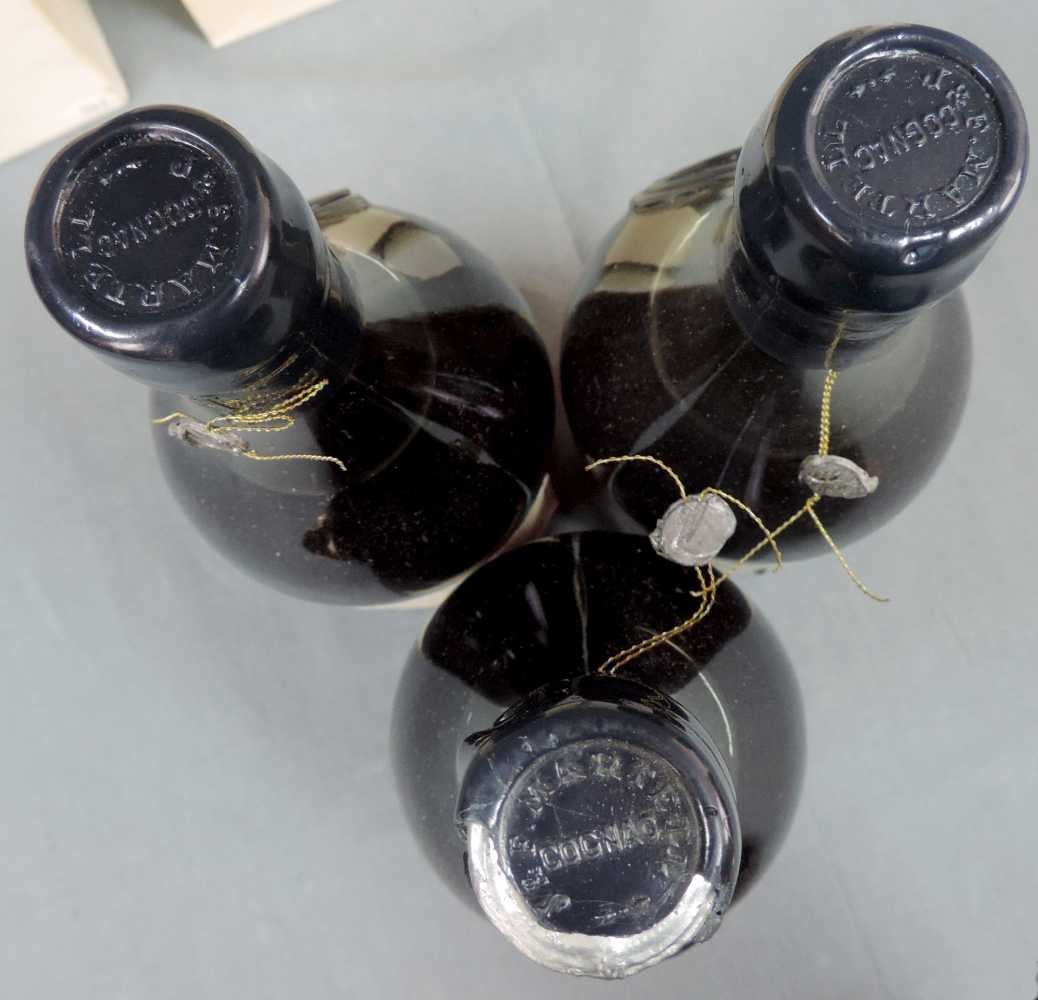 3 Flaschen MARTELL EXTRA COGNAC . In original Karton. 70cl. 43%. 3 bottles MARTELL EXTRA COGNAC. - Image 5 of 13